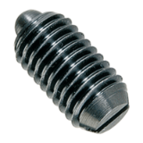 BN 13365, BN 13366 Spring plungers with bolt and slot